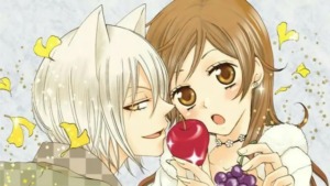 20 Best Shoujo Anime Ever – 9 Tailed Kitsune